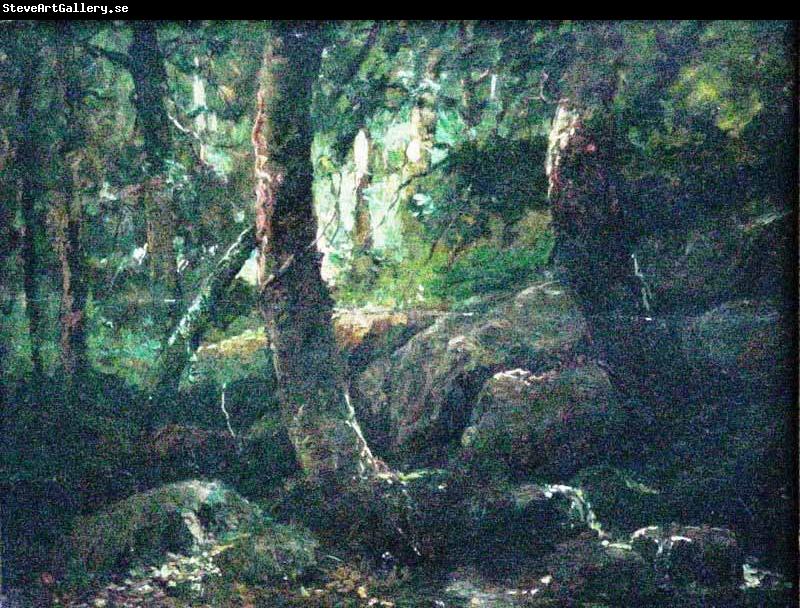 Antonio Parreiras Interior of a forest